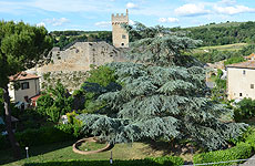 Appartamenti vacanza Siena