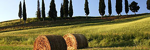 Appartamenti vacanza Siena Appartamenti vacanza Siena